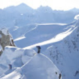 Meet your Posher, Owen